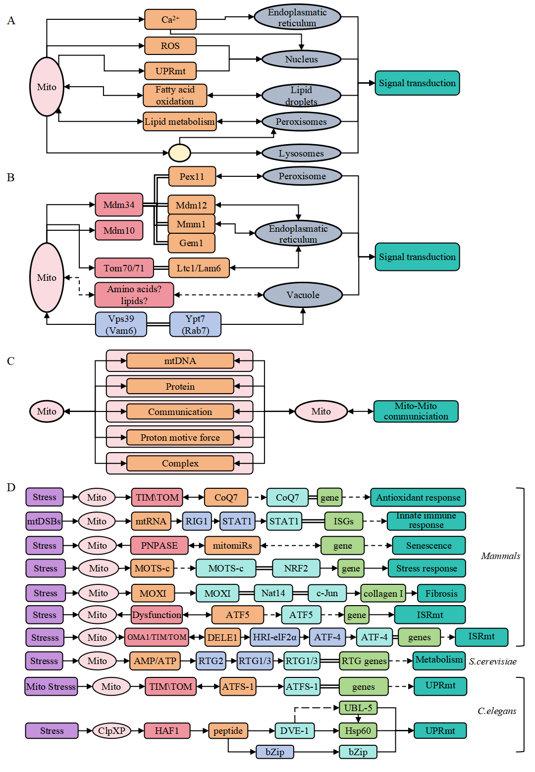 Description of the image